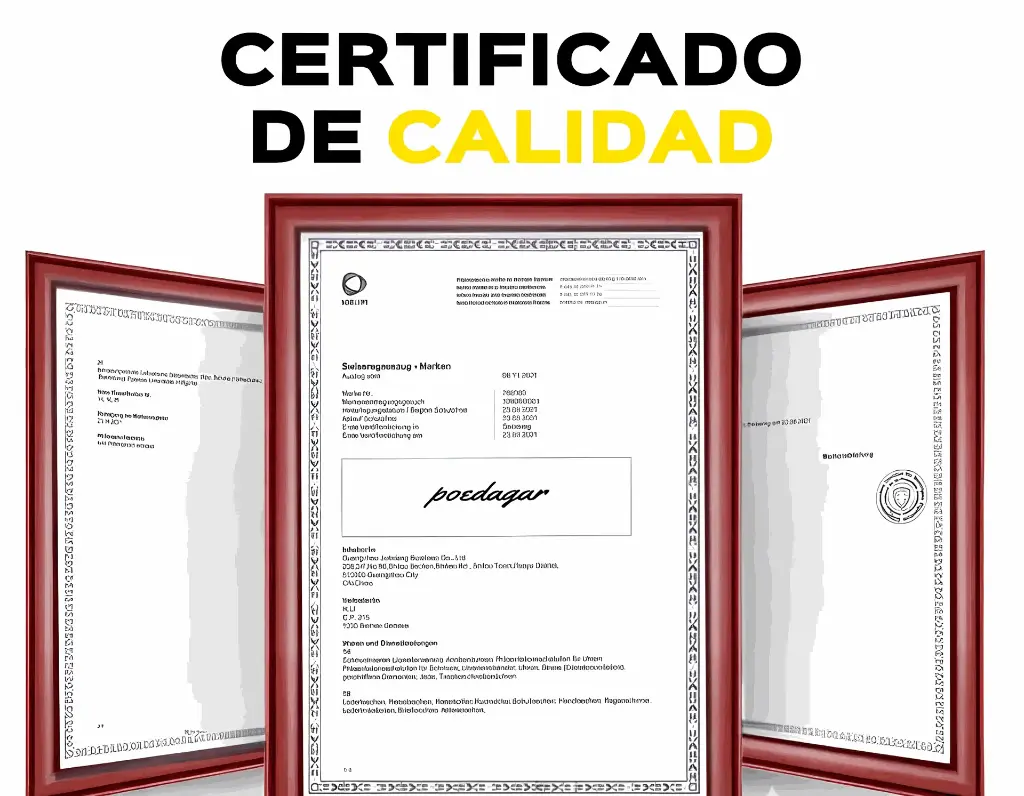 WhatsApp Image 2025-04-16 at 7.04.47 PM.webp